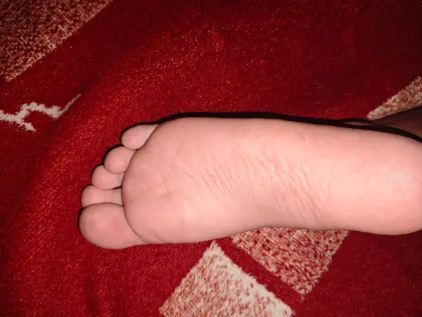 Right now, without a tongue to clean my feet.