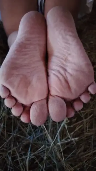 pieds nus dans la paille