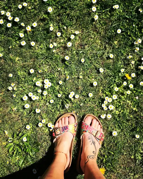 Marguerites et soleil, le bonheur ✨