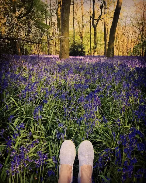 Sanfte Schuhe im lila Blütenmeer. 💜