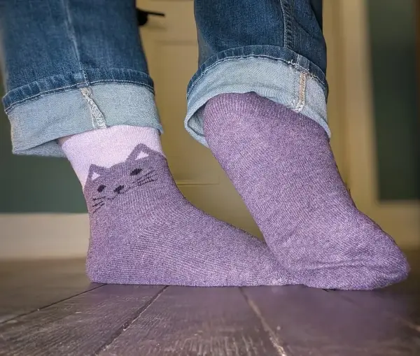 Humeur chat confort 💜