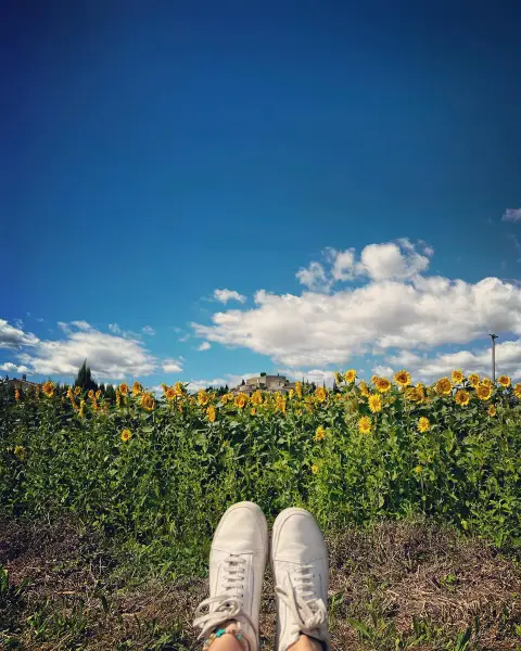 Füsse hoch im Sonnenblumenfeld 🌻