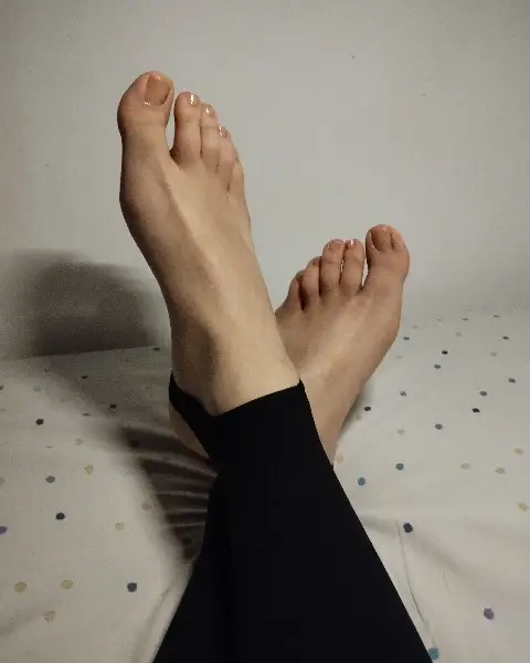 Stirrups_54