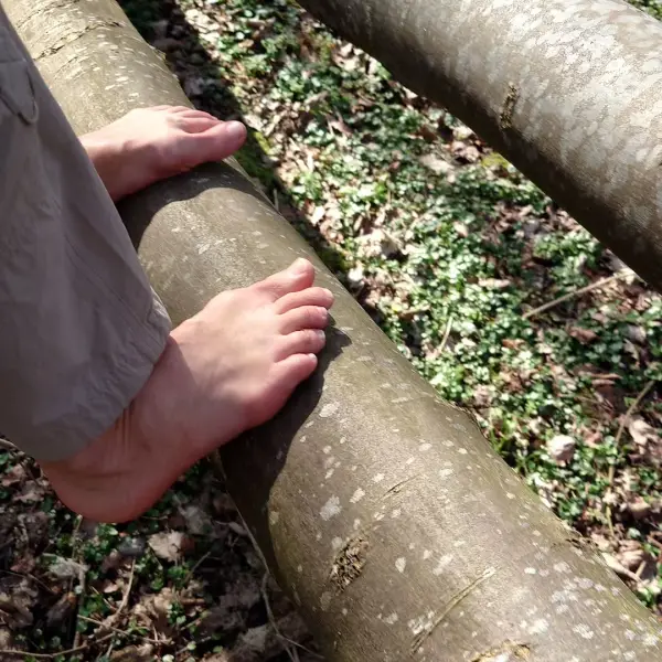 Tree log balancing act. 👣